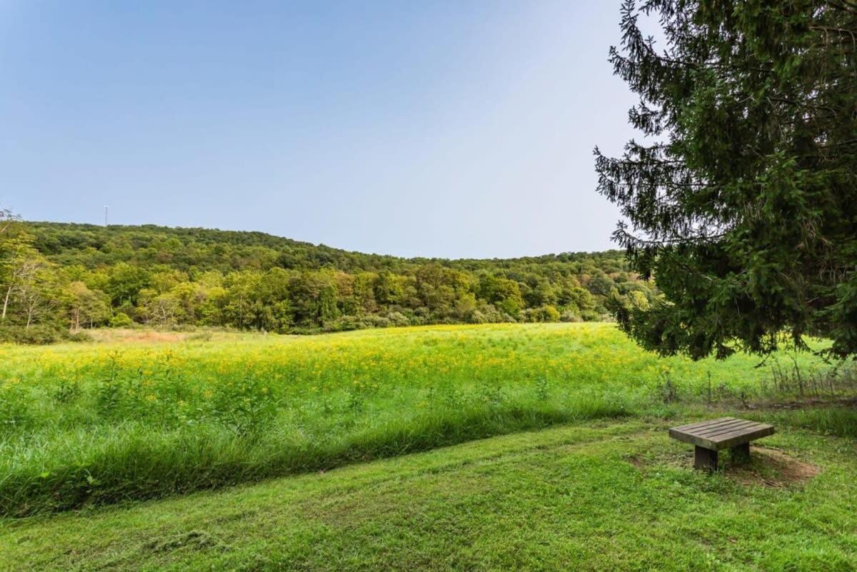 Huge Cabin W Hot Tub, Deck, Grill, Fire Pit, Wifi Berkeley Springs Exteriér fotografie