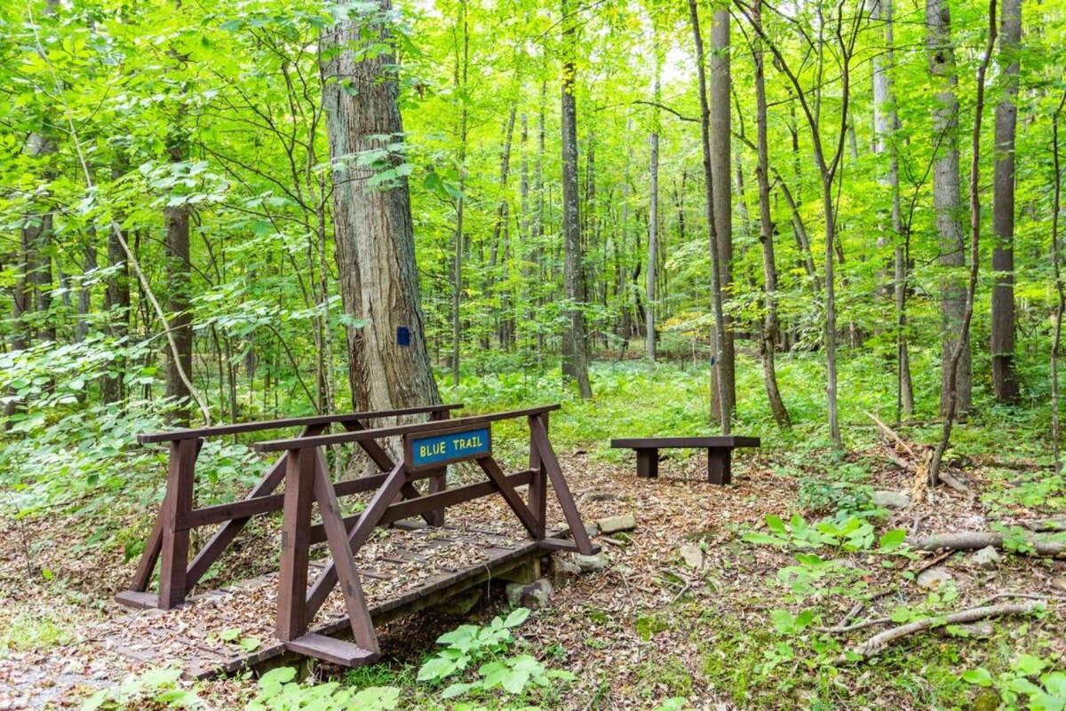 Huge Cabin W Hot Tub, Deck, Grill, Fire Pit, Wifi Berkeley Springs Exteriér fotografie