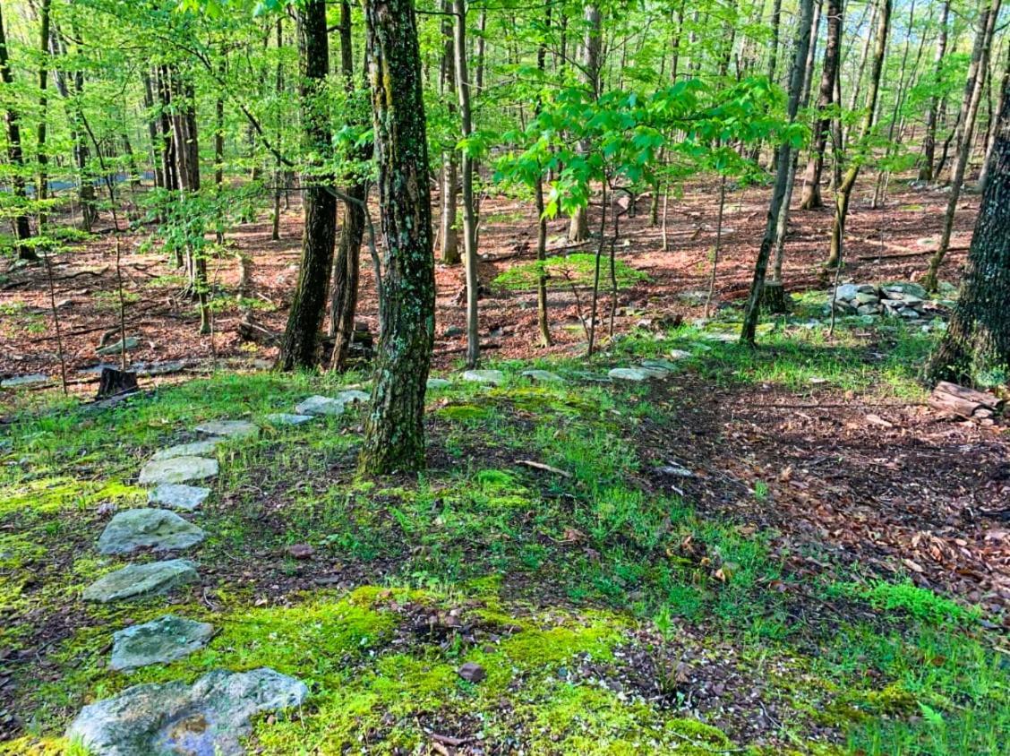 Huge Cabin W Hot Tub, Deck, Grill, Fire Pit, Wifi Berkeley Springs Exteriér fotografie